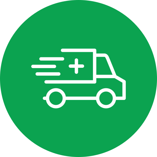 Free Shipping Icon